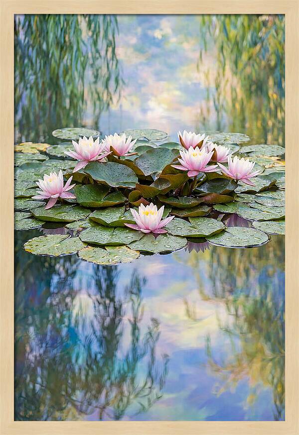 Water Lilies In Giverny