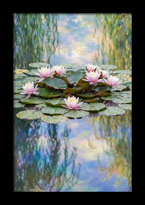 Water Lilies In Giverny
