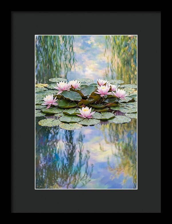 Water Lilies In Giverny