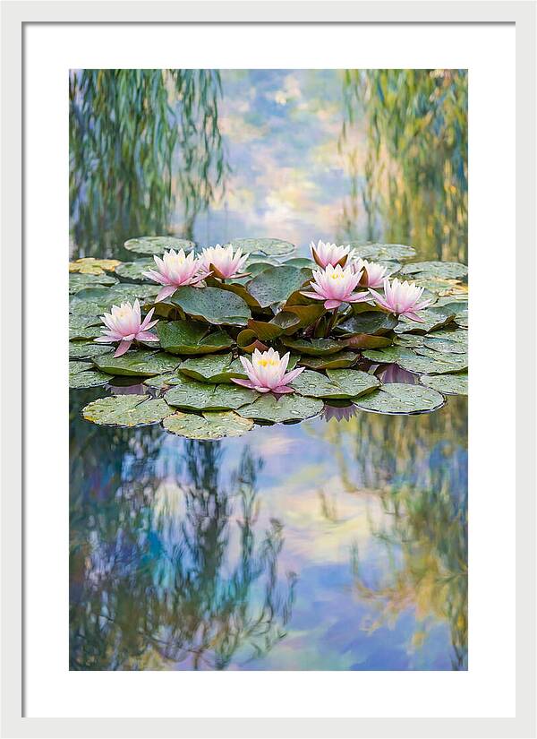 Water Lilies In Giverny
