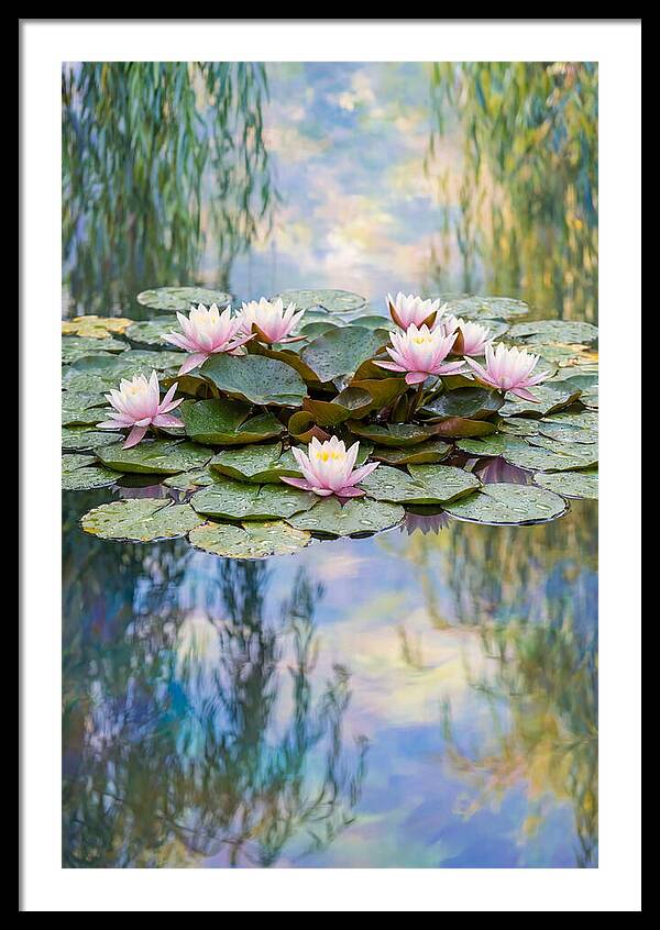 Water Lilies In Giverny