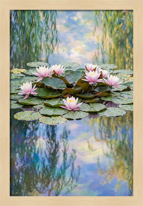 Water Lilies In Giverny