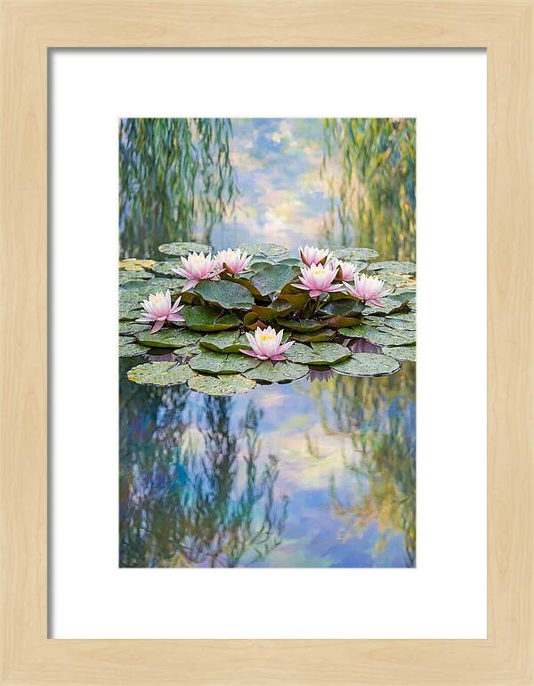 Water Lilies In Giverny
