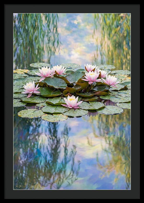 Water Lilies In Giverny