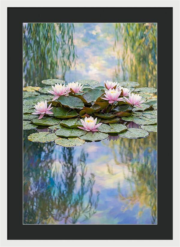 Water Lilies In Giverny