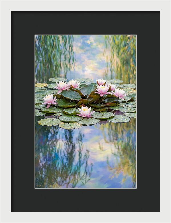 Water Lilies In Giverny