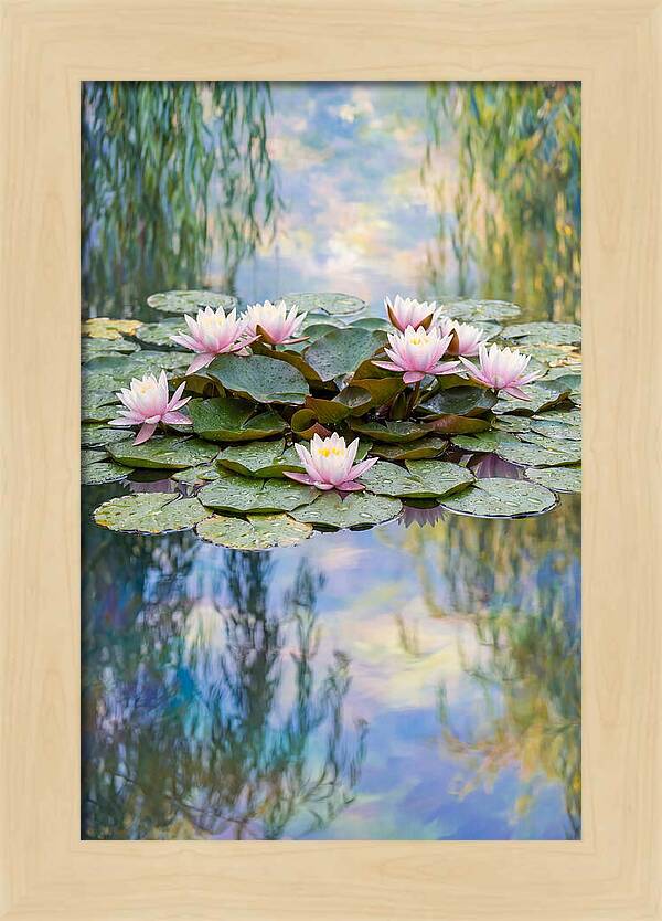 Water Lilies In Giverny