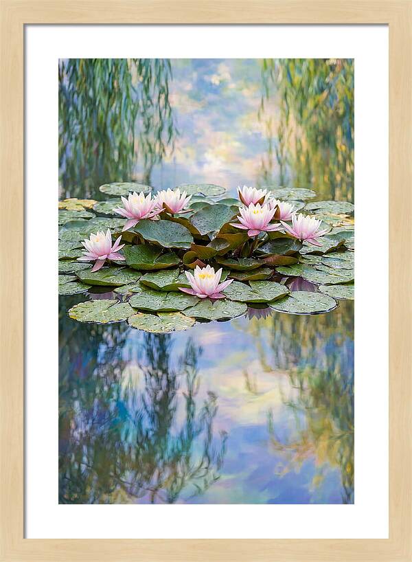 Water Lilies In Giverny
