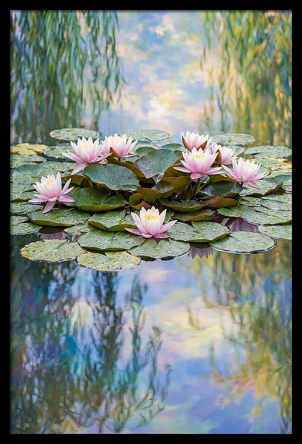 Water Lilies In Giverny