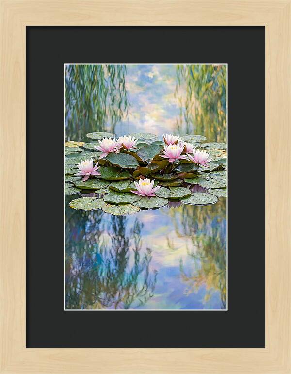 Water Lilies In Giverny
