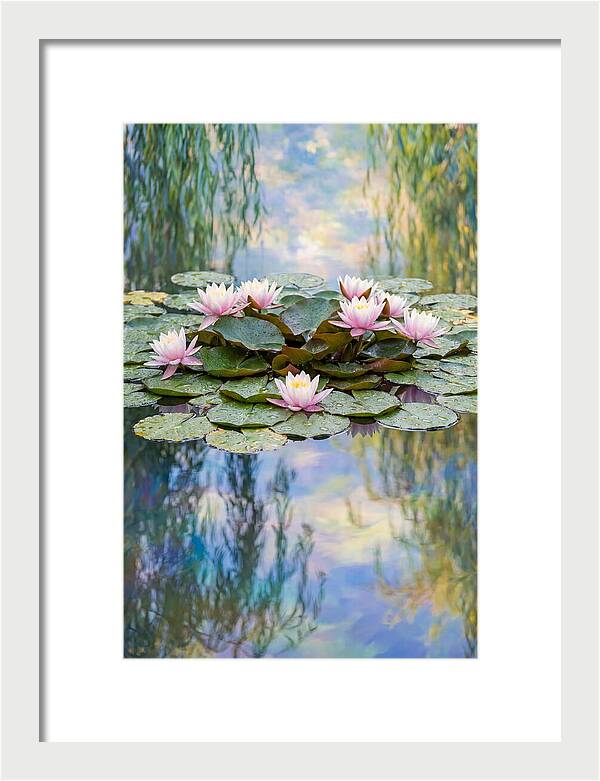 Water Lilies In Giverny