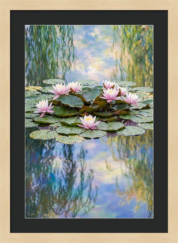 Water Lilies In Giverny
