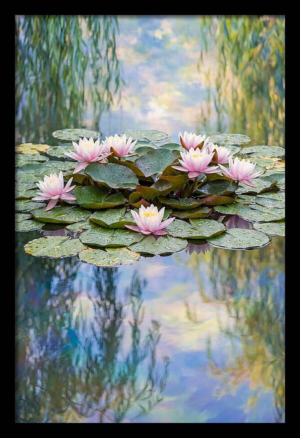Water Lilies In Giverny