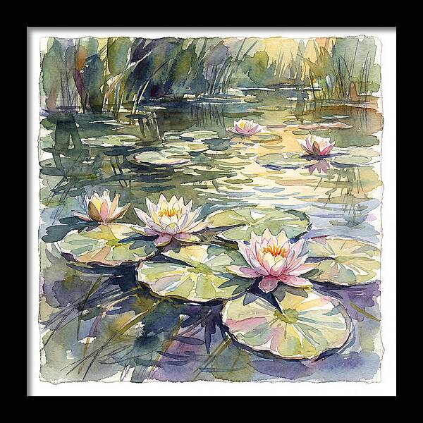 Water Lilies In Tranquil Waters
