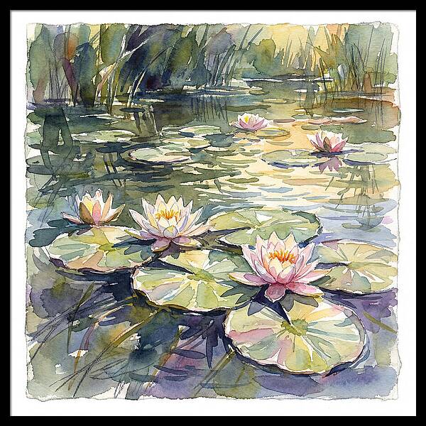 Water Lilies In Tranquil Waters