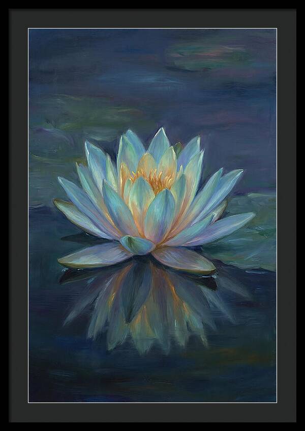 Water Lily Reflection