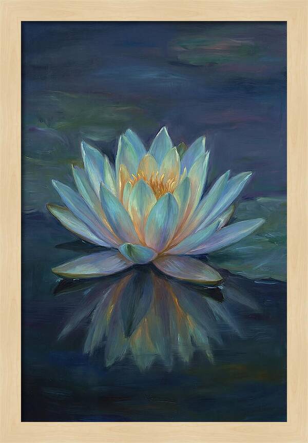 Water Lily Reflection