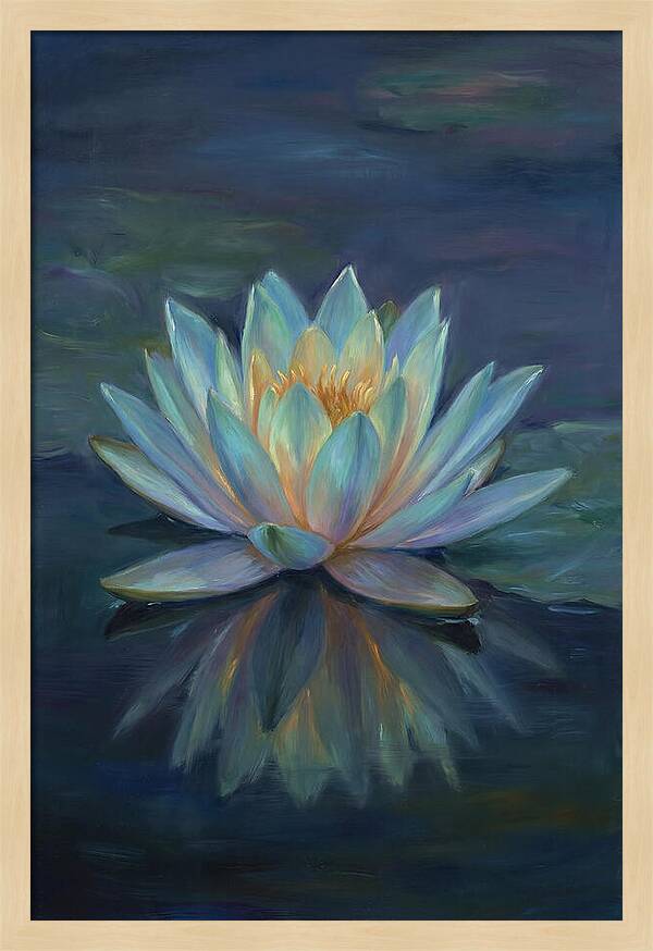 Water Lily Reflection