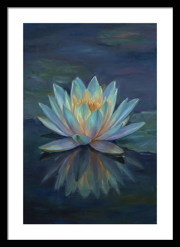 Water Lily Reflection
