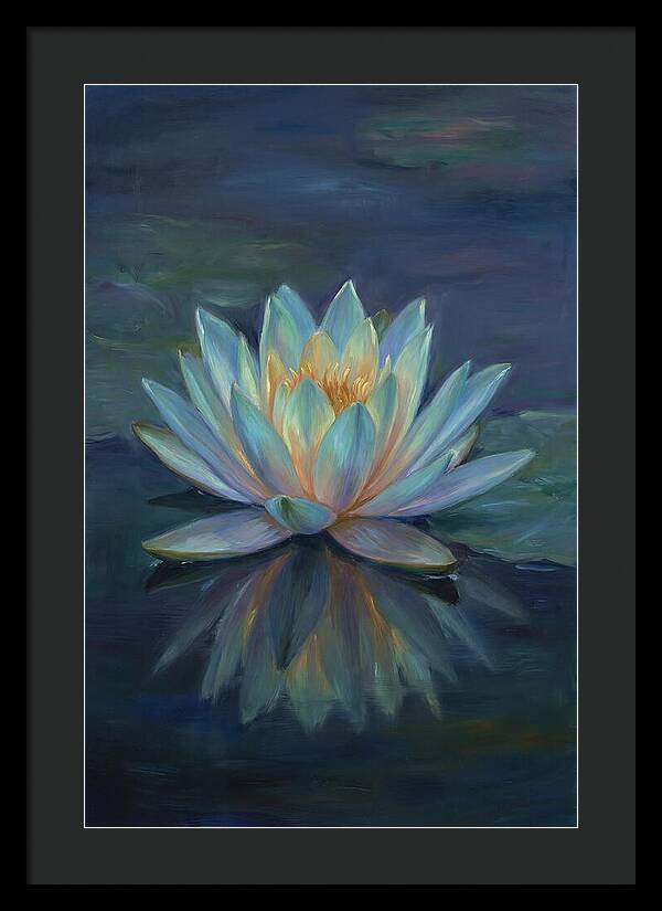 Water Lily Reflection