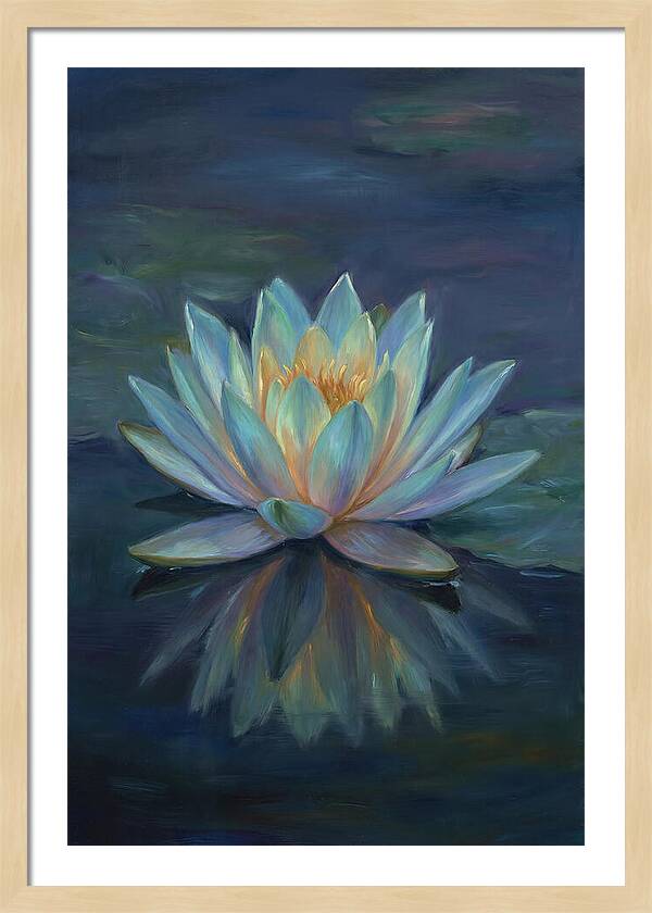 Water Lily Reflection