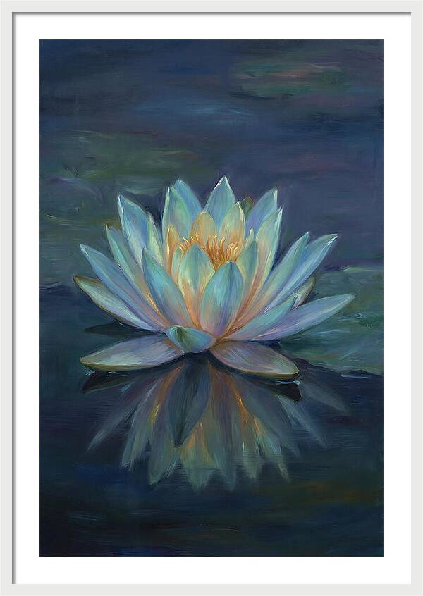 Water Lily Reflection
