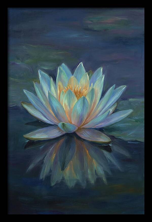 Water Lily Reflection