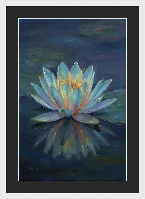 Water Lily Reflection