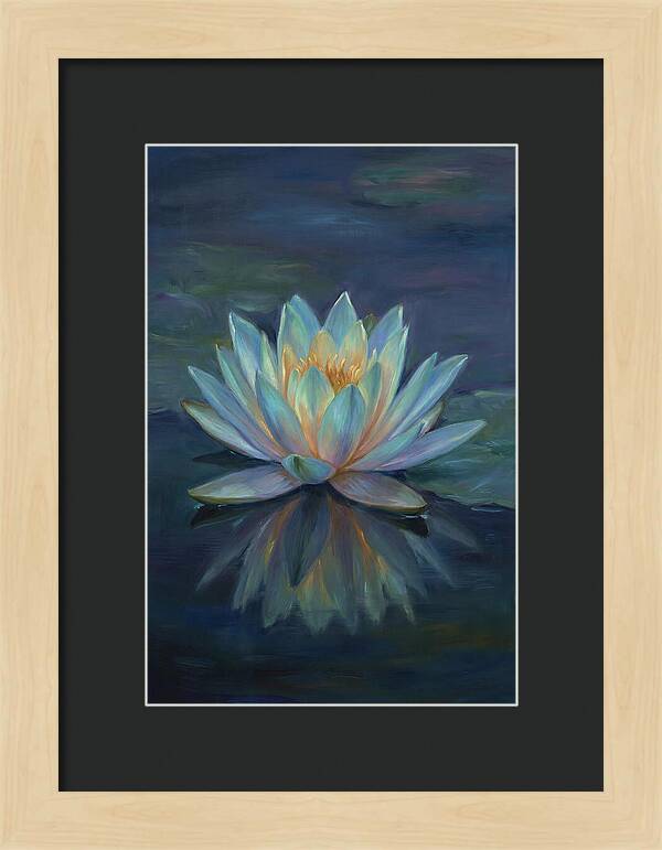 Water Lily Reflection