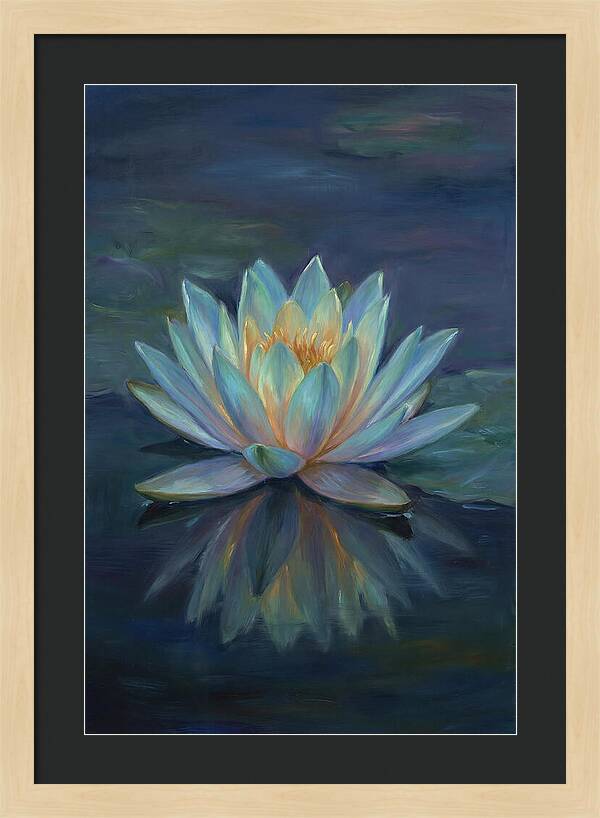 Water Lily Reflection
