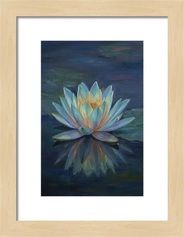 Water Lily Reflection