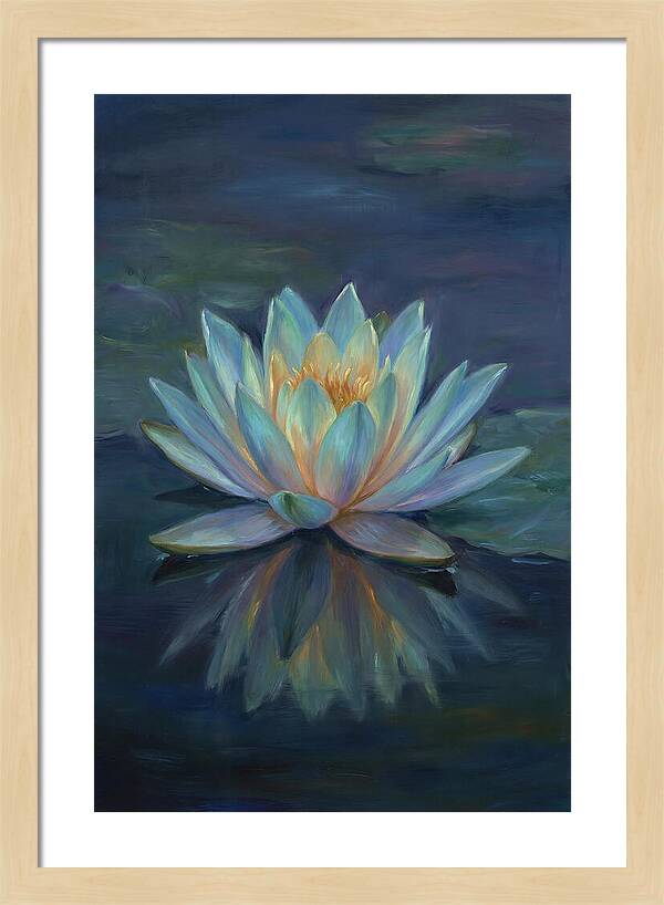 Water Lily Reflection