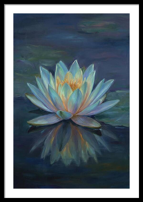 Water Lily Reflection