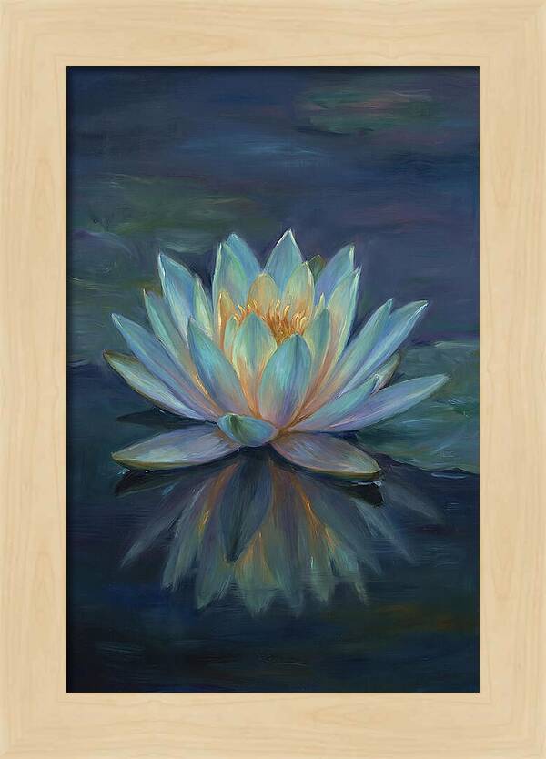 Water Lily Reflection