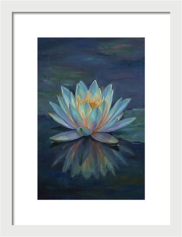 Water Lily Reflection