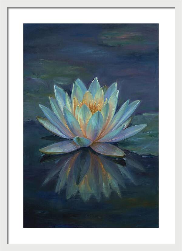 Water Lily Reflection
