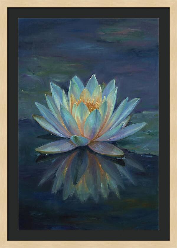Water Lily Reflection