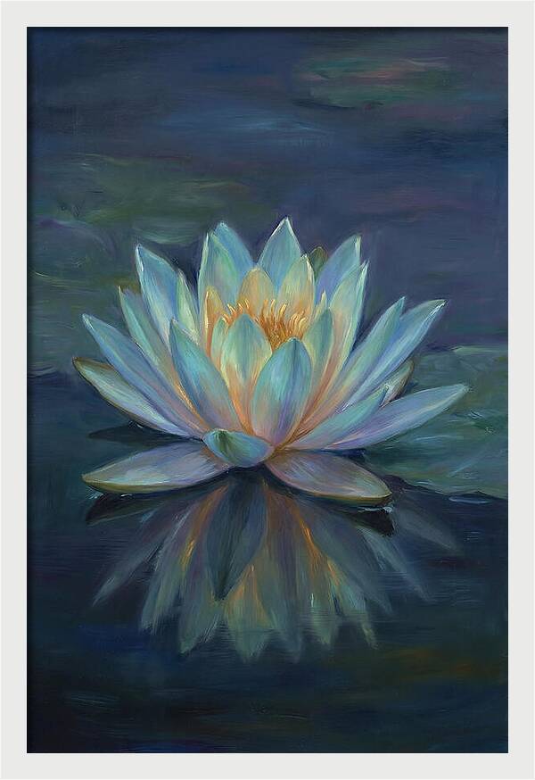 Water Lily Reflection