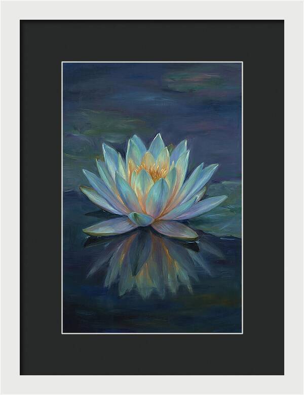 Water Lily Reflection