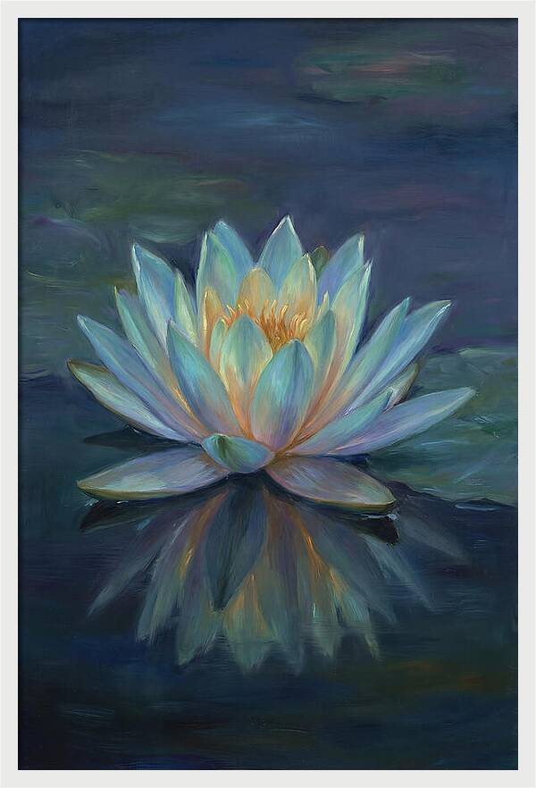 Water Lily Reflection