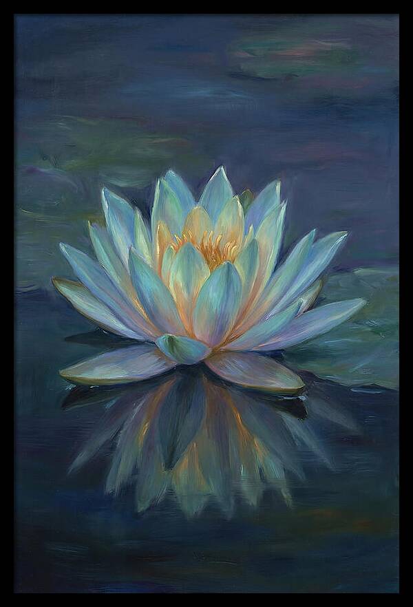 Water Lily Reflection