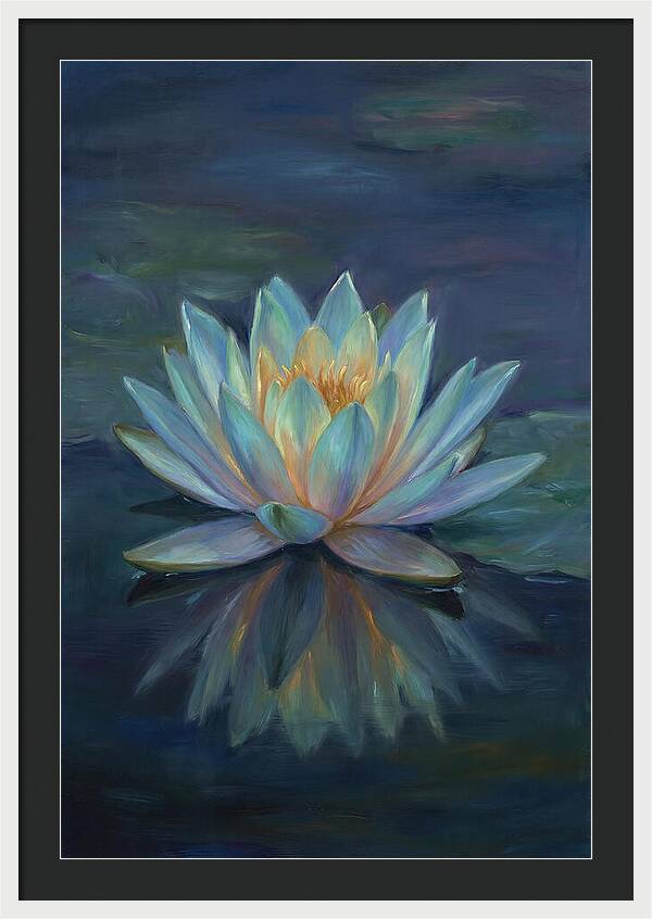 Water Lily Reflection