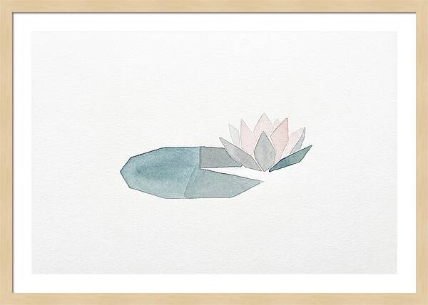 Water Lily Serenity