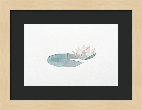 Water Lily Serenity