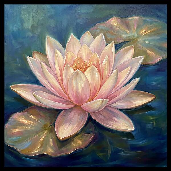 Water Lotus Bloom