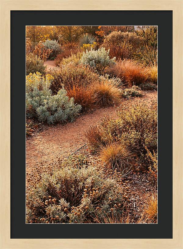 Water Wise Garden Serenity