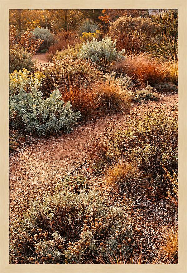 Water Wise Garden Serenity