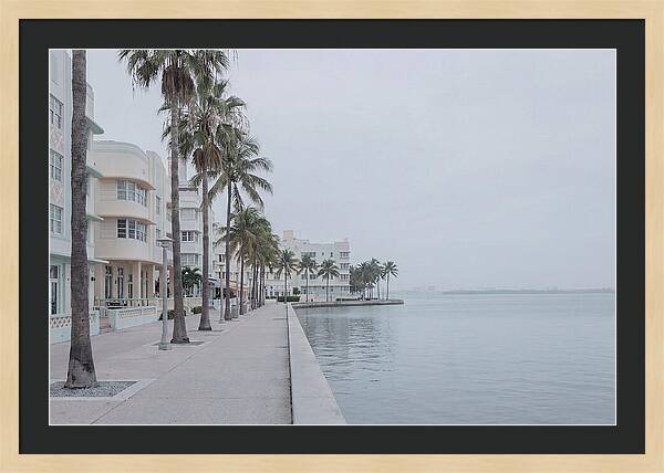 Waterfront Promenade Serenity