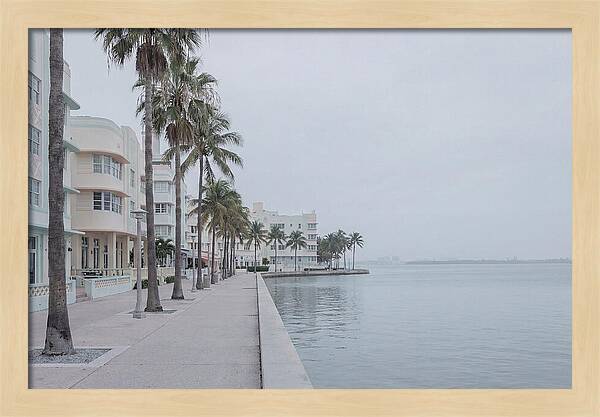 Waterfront Promenade Serenity