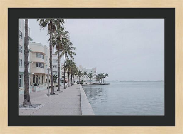 Waterfront Promenade Serenity